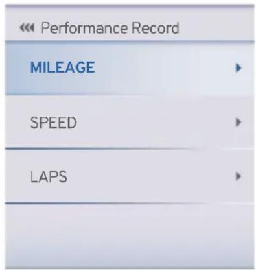 Performance Record MILEAGE SPEED LAPS
