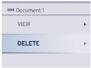 << Document 1 VIEW DELETE