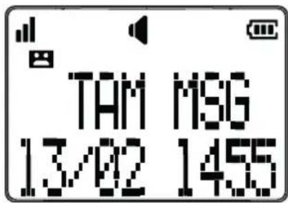 TAM MSG 13/02 1455