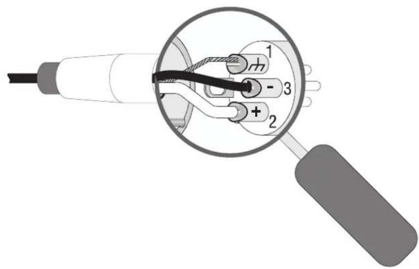 Diagram of a magnifying glass with labeled components, showing internal wiring and polarity indicators