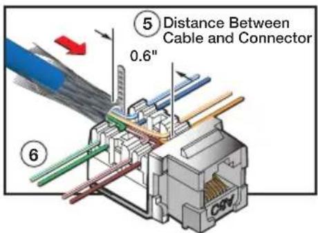 ⑤ Distance Between Cable and Connector 0.6" ⑥