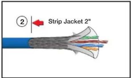 ② Strip Jacket 2"