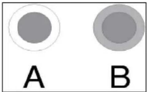 A B