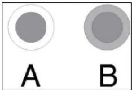 A B