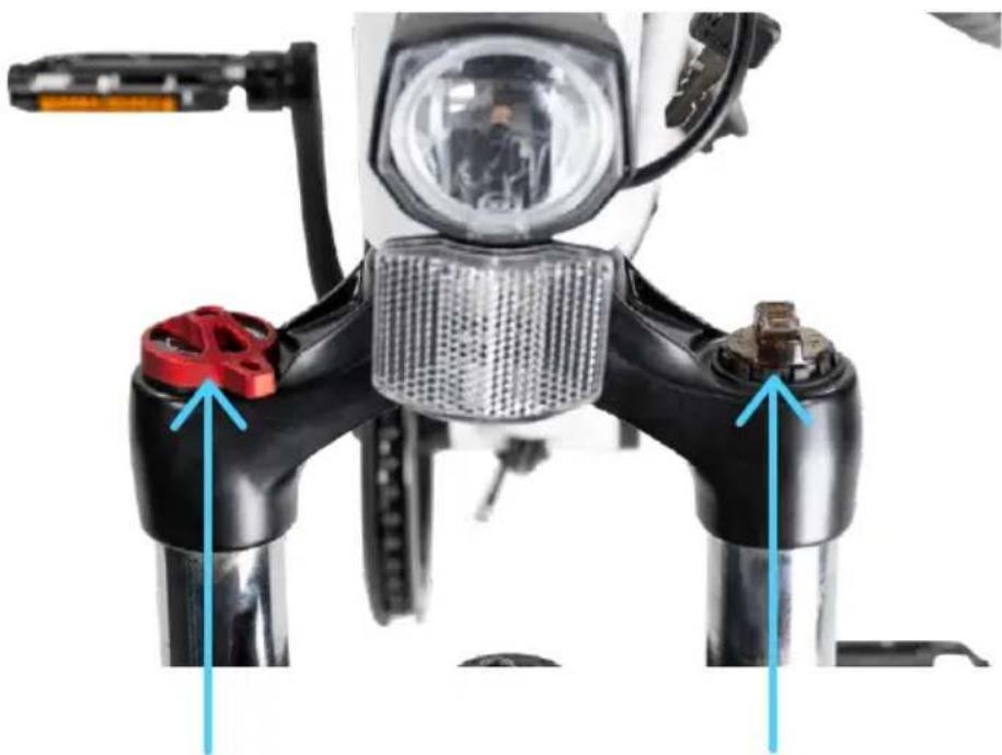 Lectric XPress High-Step - Suspension Fork - 1