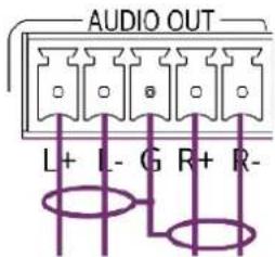 AUDIO OUT L+ L- G R+ R-