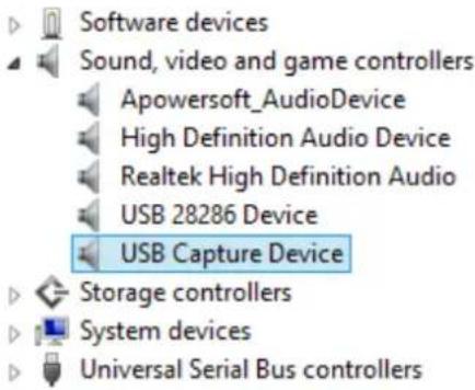Software devices Sound, video and game controllers Apowersoft_AudioDevice High Definition Audio Device Realtek High Definition Audio USB 28286 Device USB Capture Device Storage controllers System devices Universal Serial Bus controllers