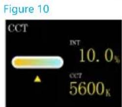 Figure 10 CCT INT 10.0% CCT 5600K