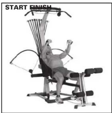 BOWFLEX Blaze - Success Tips - 1