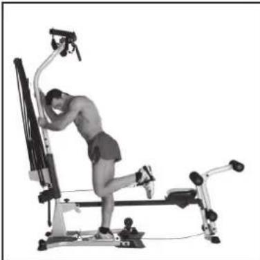 BOWFLEX Blaze - Pulleys: - 3