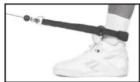 BOWFLEX Blaze - Accessories and Equipment - 3