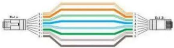 Vigitron Vi30208 - Cables - 5