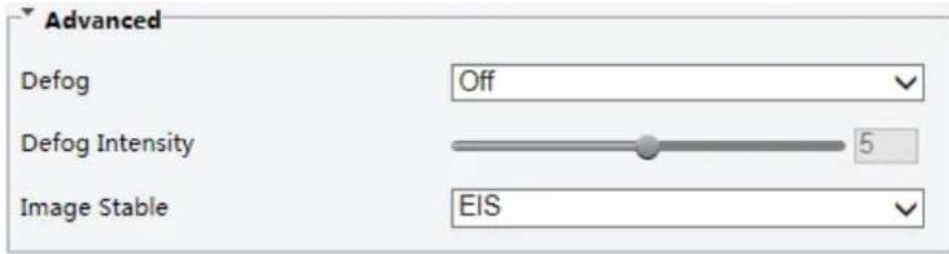 Advanced Defog Off Defog Intensity 5 Image Stable EIS