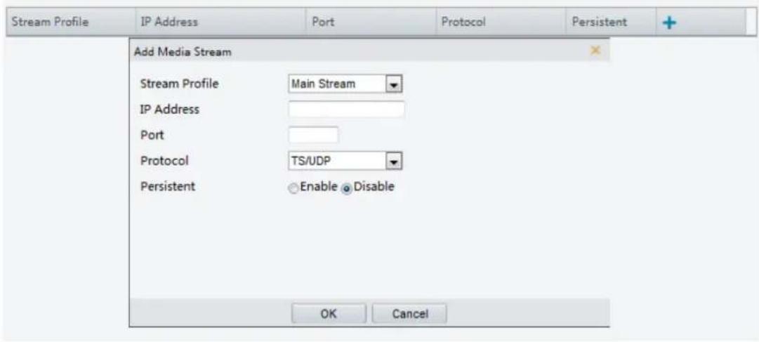 Stream Profile IP Address Port Protocol Main Stream IP Address Port TS/UDP Persistent Enable Disable OK Cancel