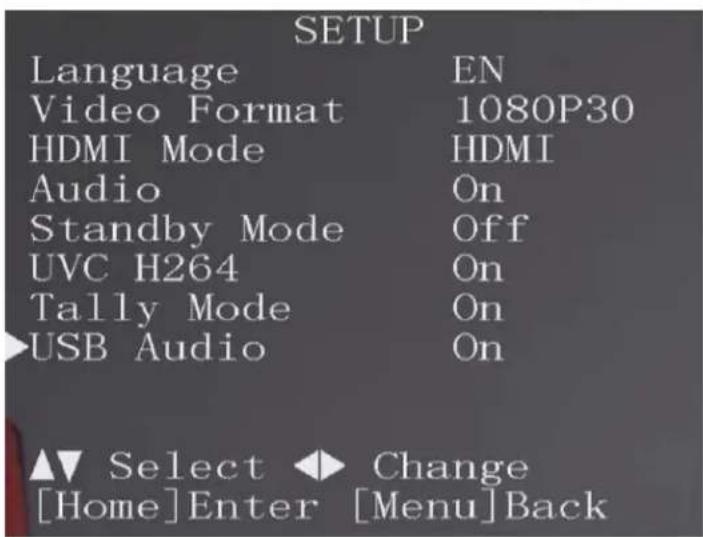 SETUP Language EN Video Format 1080P30 HDMI Mode HDMI Audio On Standby Mode Off UVC H264 On Tally Mode On USB Audio On ▲▼ Select ◆ Change [Home]Enter [Menu]Back