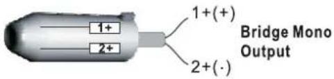 1+ 2+ 1+(+) 2+(·) Bridge Mono Output