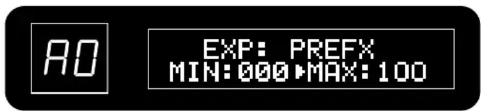RO EXP: PREFIX MIN:000 ▶MAX:100