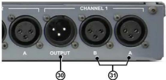 CHANNEL 1 OUTPUT A B A 30 31