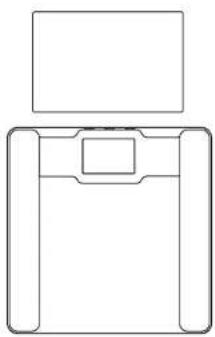 Taylor 5306614 - Weighing-Only Operation - 1
