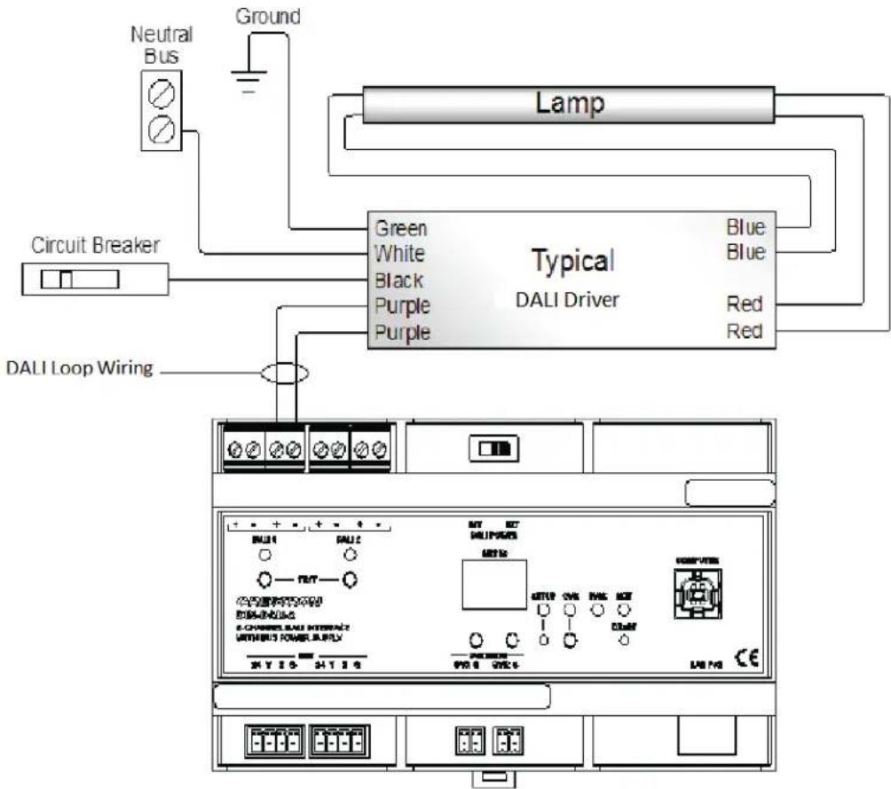 Crestron DIN-EN-3X18 - DALI Loop Wiring - 1
