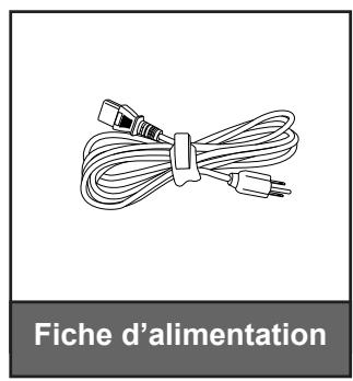 OPTOMA L1 - Contenu du paquet - 2