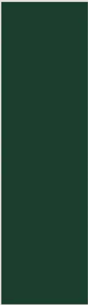 Solid dark green rectangle with no visible text, symbols, or features.