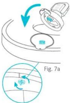 Fig. 7a