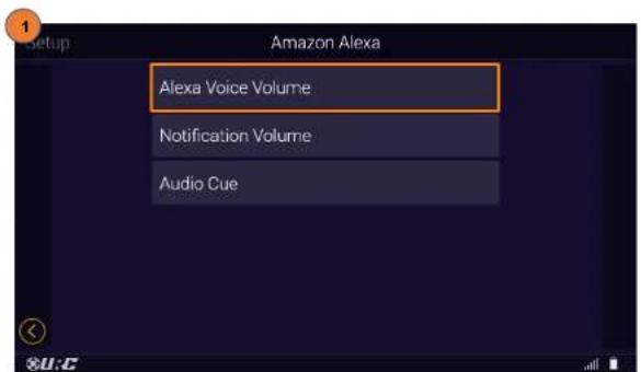 Setup Amazon Alexa Alexa Voice Volume Notification Volume Audio Cue
