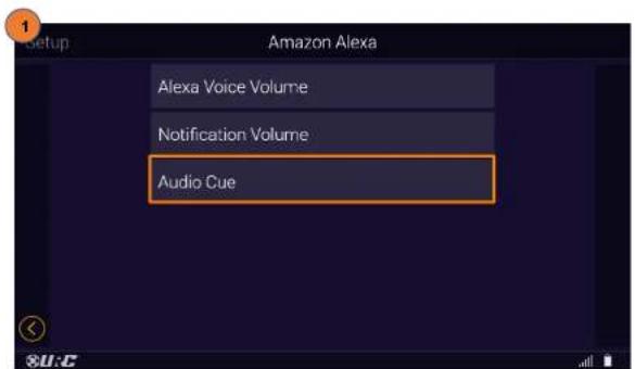 Setup Amazon Alexa Alexa Voice Volume Notification Volume Audio Cue