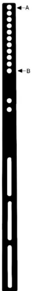 A B