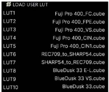 LOAD USER LUT LUT1 Fuji Pro 400_FC.cube LUT2 Fuji Pro 400_FPE.cube LUT3 Fuji Pro 400_VS.cube LUT4 Fuji Pro 400_CIN.cube LUT5 Fuji Pro 400_CIN1.cube LUT6 REC709_to_SHARP54.cube LUT7 SHARP54_to_REC709.cube LUT8 BlueDusk 33 E-L.cube LUT9 BlueDusk 33 VS.cube LUT10 BlueDusk 33.cube
