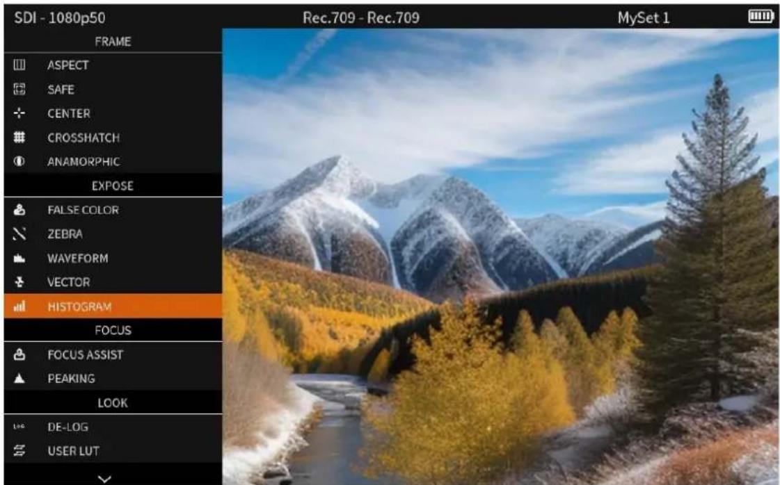 SDI - 1080p50 FRAME ASPECT SAFE CENTER CROSSHATCH ANAMORPHIC EXPOSE FALSE COLOR ZEBRA WAVEFORM VECTOR HISTOGRAM FOCUS FOCUS ASSIST PEAKING LOOK DE-LOG USER LUT Rec.709 - Rec.709 MySet 1