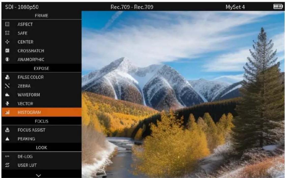 SDI - 1080p50 FRAME ASPECT SAFE CENTER CROSSHATCH ANAMORPHIC EXPOSE FALSE COLOR ZEBRA WAVEFORM VECTOR HISTOGRAM FOCUS FOCUS ASSIST PEAKING LOOK DE-LOG USER LUT Rec.709 - Rec.709 MySet 4