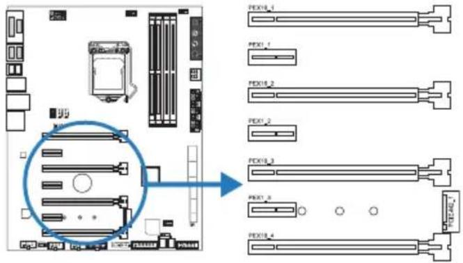 PEX10_1 PEX1_1 PEX10_2 PEX1_2 PEX10_3 PEX1_3 PEX10_4