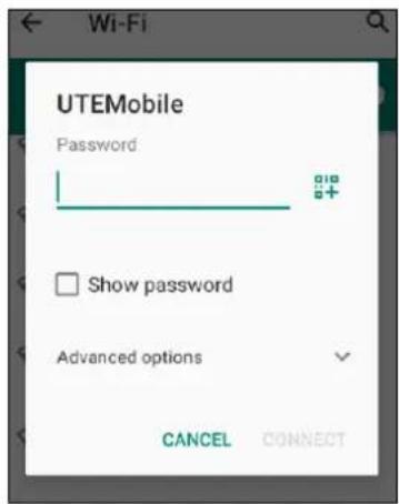 UTEMobile Password Show password Advanced options CANCEL CONNECT