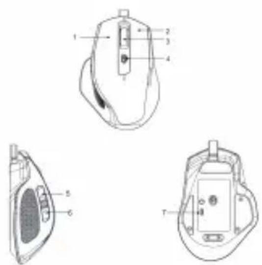 IOPLEE IOPEXT355G - Descrizione dell'apparecchio - 1