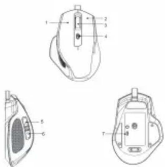 IOPLEE IOPEXT355G - Description of the Appliancear - 1