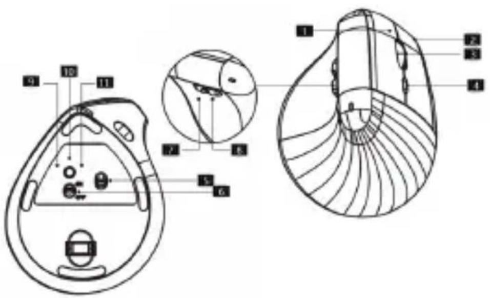 IOPLEE IOPEXT561BTR - Descrizione dell'apparecchio - 1