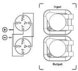 Input Output