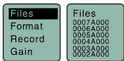 Files Format Record Gain Files 0007A000 0006A000 0005A000 0004A000 0003A000 0002A000