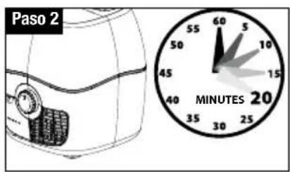 Paso 2 MINUTES 20