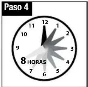 Paso 4 12 1 10 9 8 HORAS 7 6 5 4 3 2 1