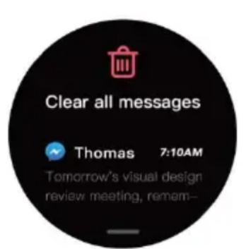 Clear all messages Thomas 7:10AM Tomorrow's visual design review meeting, remem-