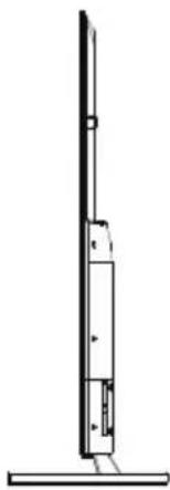 Proscan PLED8220-UHDSM - BACK VIEW - 2