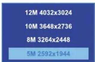 12M 4032x3024 10M 3648x2736 8M 3264x2448 5M 2592x1944