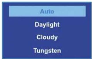 Auto Daylight Cloudy Tungsten