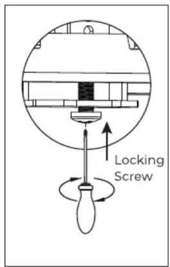 Locking Screw