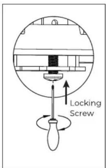 Locking Screw