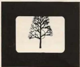 BOLEX 480 MacroZoom - Focusing - 2