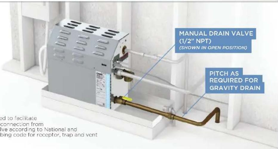 MANUAL DRAIN VALVE (1/2" NPT) (SHOWN IN OPEN POSITION) PITCH AS REQUIRED FOR GRAVITY DRAIN ed to facilitate connection from alive according to National and bing code for receptor, trap and vent